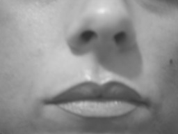 Cliquez pour agrandir l'image Cliquez pour agrandir l'image